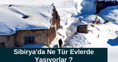 sibiryada-ne-tur-evlerde-yasiyorlar