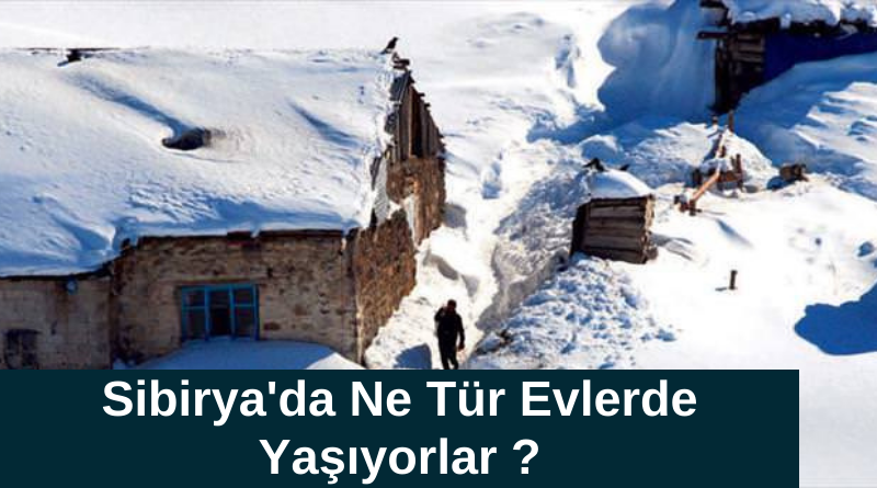 sibiryada-ne-tur-evlerde-yasiyorlar