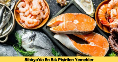 sibiryada-en-sik-pisirilen-yemekler